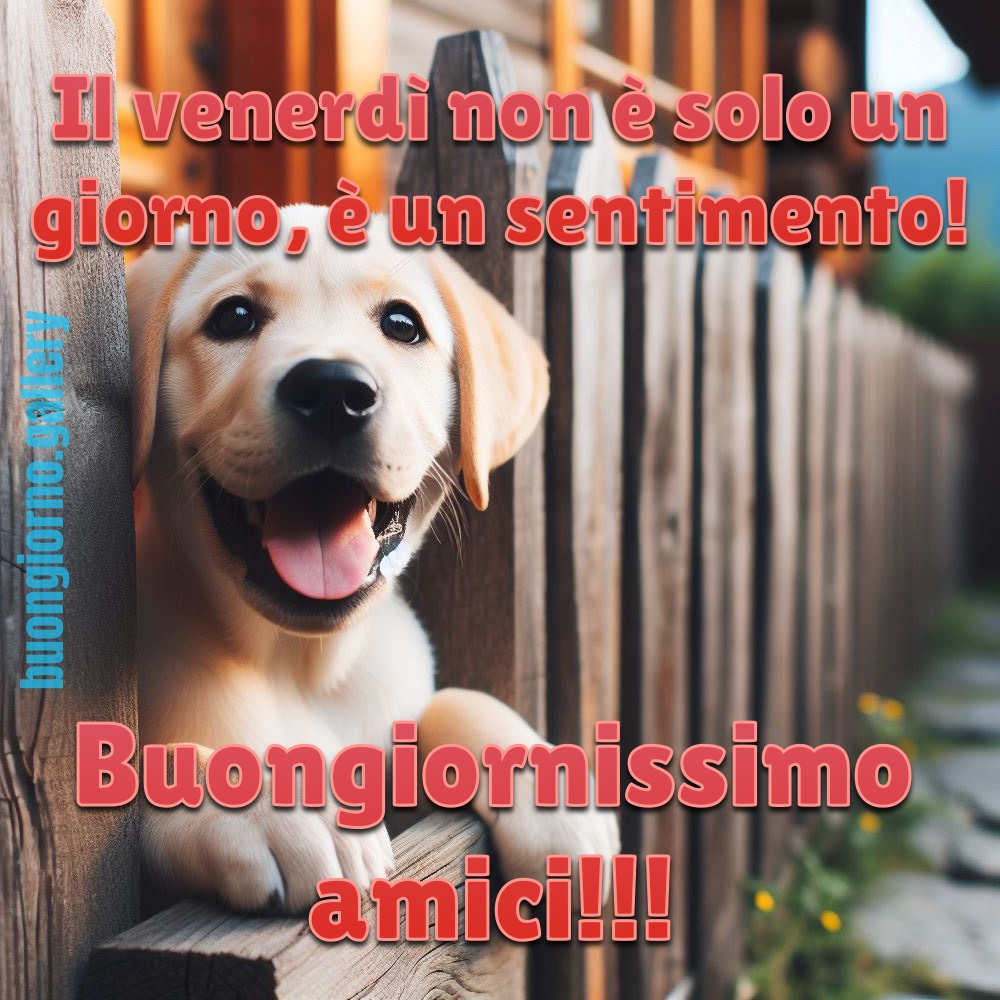 Il Venerdì non è solo un giorno, è un sentimento! Buongiornissimo amici!!!