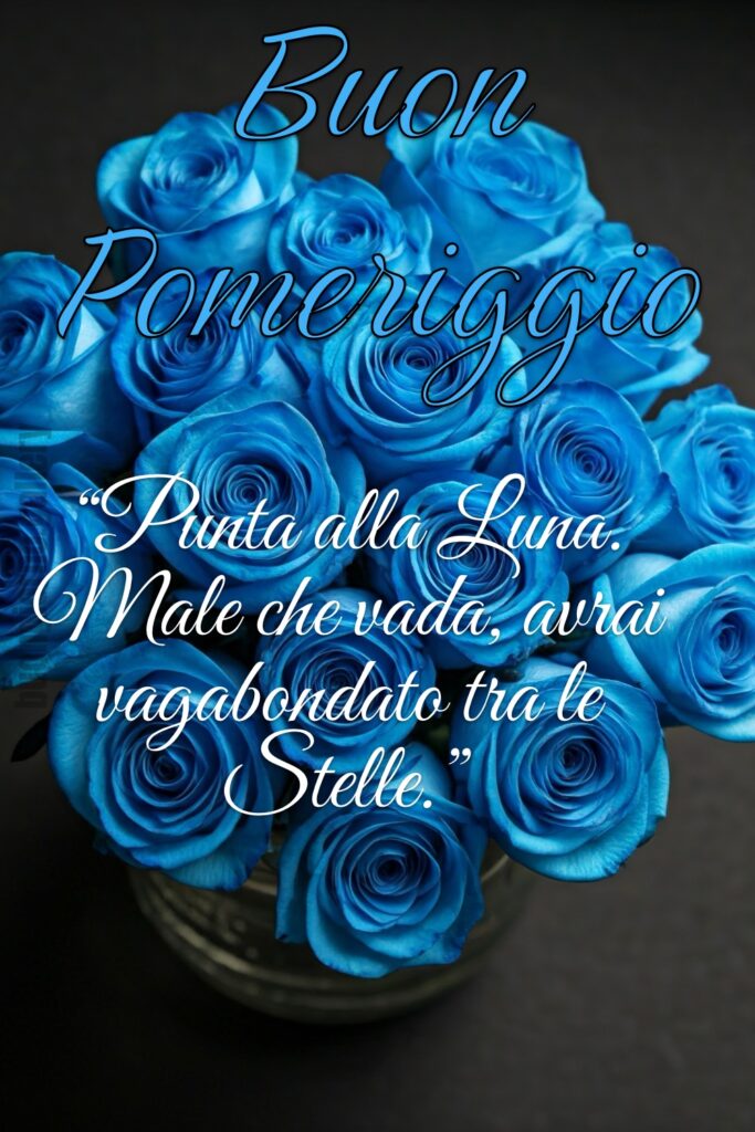 Un'immagine di buon pomeriggio con tante rose di un bellissimo blu.